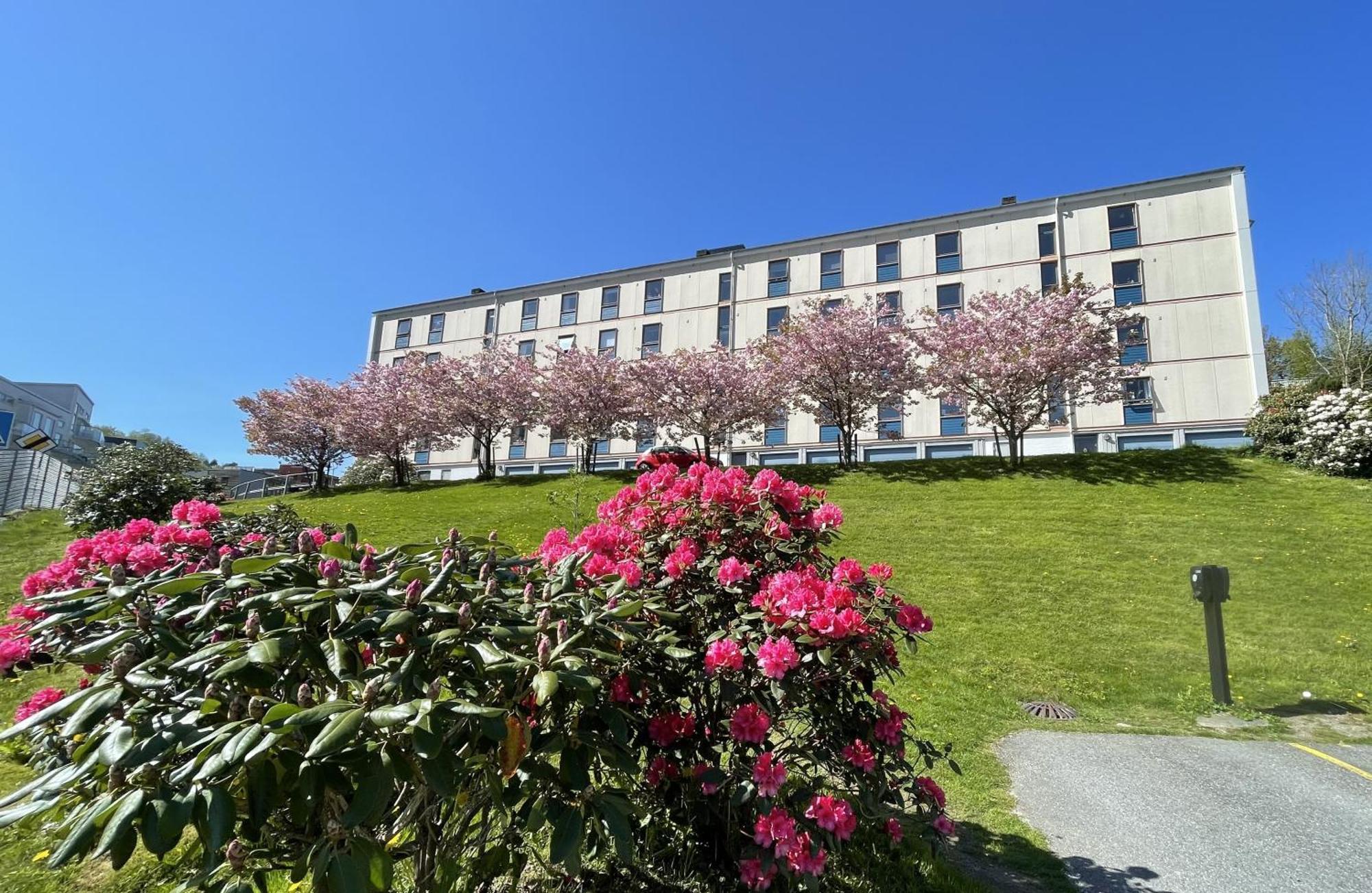 3 Sleeping For 82m2 Which Direct Traffic To Airport And Center Apartamento